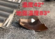 炎夏热浪来袭，国内多地气温飙升破纪录