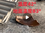 炎夏热浪来袭，国内多地气温飙升破纪录